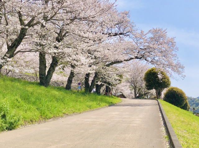 いずいずお花めぐり2026キャンペーン：1/17-4/12